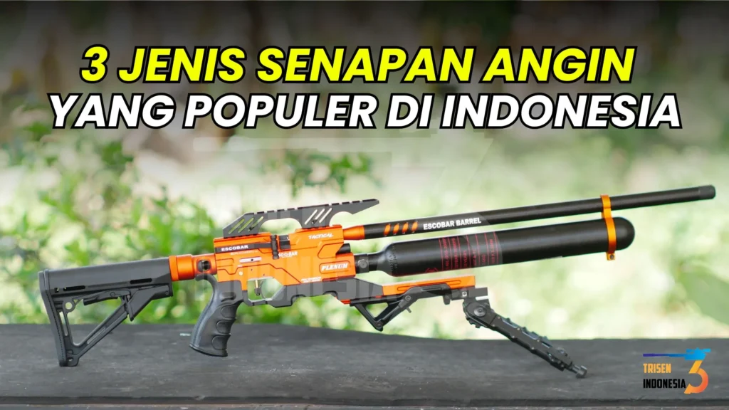 jenis senapan angin